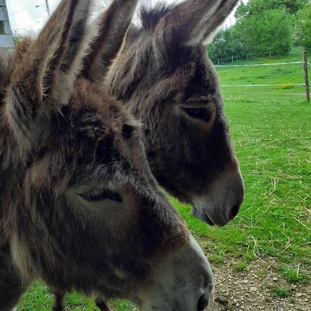Gite Aux Anes Avec Spa Menetou-Ratel Luaran gambar